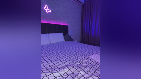 butttfly free recording from 2024-11-11 21:14:00