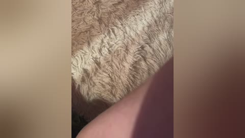 fierynight77 free recording from 2024-11-11 04:46:00