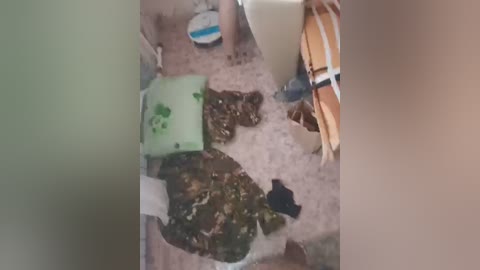 kotiki474 free recording from 2024-11-11 11:14:00