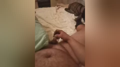 kotiki474 free recording from 2026-04-27 00:09:00