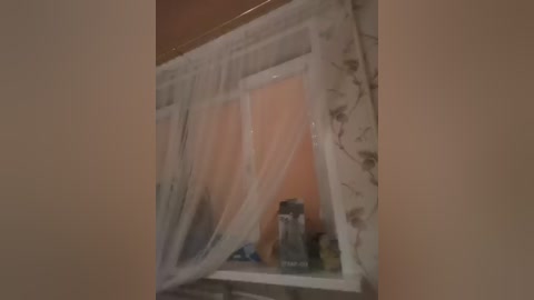 kotiki474 free recording from 2024-11-11 14:41:00