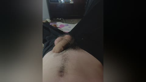 mulen_rug free recording from 2024-11-11 15:56:00