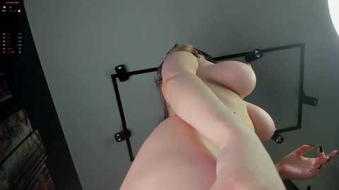 squikt free recording from 2024-11-11 05:30:00