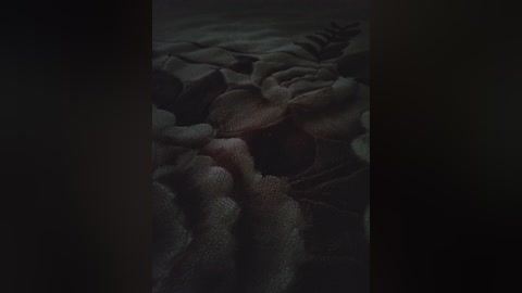 super_couple free recording from 2024-11-11 11:16:00