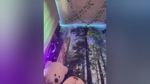 _summer_ free recording from 2024-11-12 06:41:00