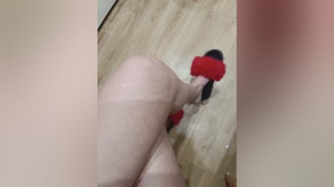 kiskis_s free recording from 2024-11-12 18:52:00