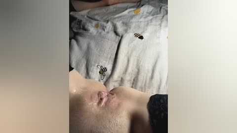 persikapelsinka free recording from 2024-11-12 17:18:00