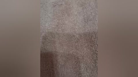 twobitrim free recording from 2024-11-12 20:46:00