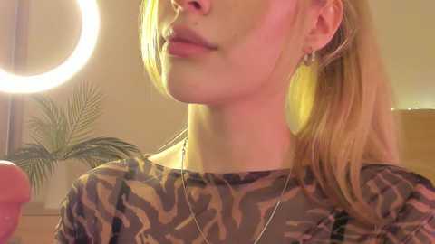 your_alice free recording from 2024-11-12 20:54:00