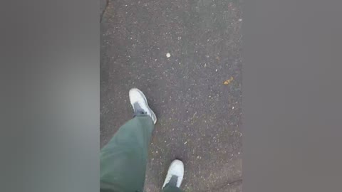 8alexandra8 free recording from 2024-11-13 11:00:00