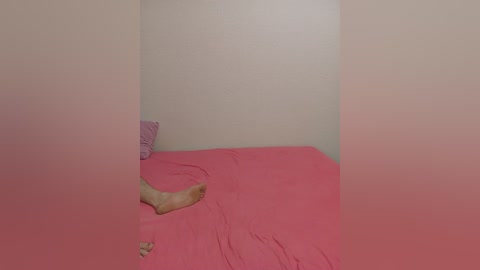 _ameli__ free recording from 2024-11-13 21:50:00