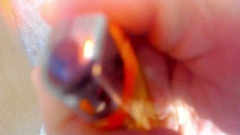 crazy_love2 free recording from 2024-11-13 23:22:00