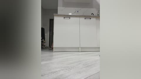 gummy_bears free recording from 2024-11-13 02:28:00