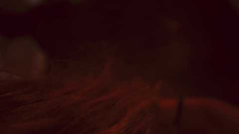 heybanana free recording from 