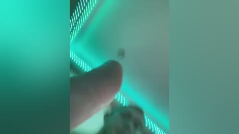 kristallik_1 free recording from 2024-11-13 19:13:00