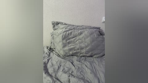 misamarkisa free recording from 2024-11-13 18:55:00