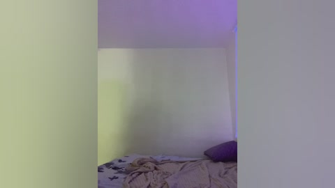 nikandst free recording from 2024-11-13 15:00:00