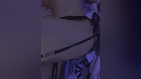 nikandst free recording from 2024-11-13 17:59:00