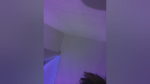 nikandst free recording from 2024-11-13 18:06:00