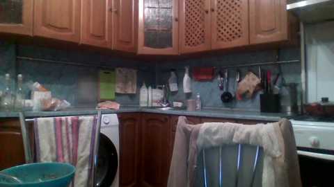 totodasha free recording from 2024-11-13 16:19:00