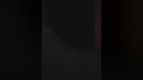 anymals free recording from 2026-04-14 02:42:00