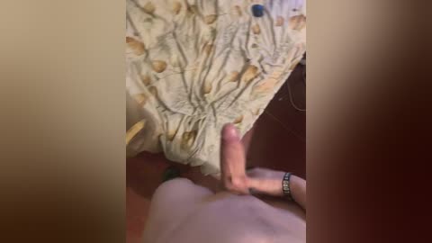 fregidaaa free recording from 2024-11-14 19:06:00