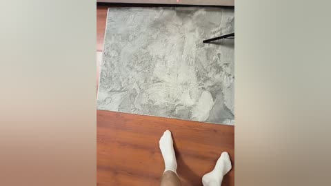 grafffsa free recording from 2024-11-14 09:50:00