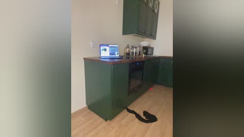 jessicallo free recording from 2024-11-14 07:13:00