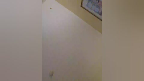 mr_and_mrs_smith_xxl free recording from 2024-11-14 17:58:00