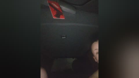 auka4 free recording from 2024-11-15 17:59:00