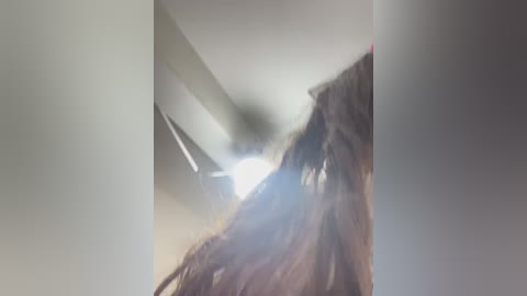 lola7777 free recording from 2024-11-15 03:28:00