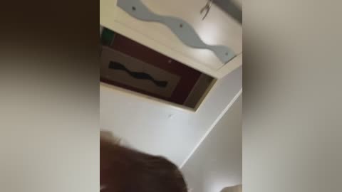 olivkavif free recording from 2024-11-15 18:50:00