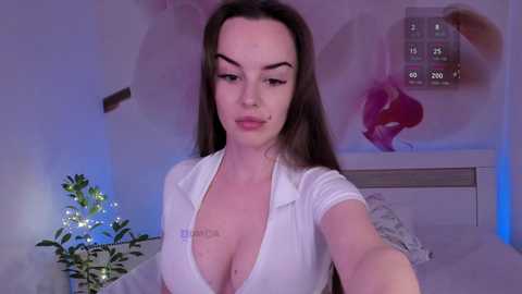 sincerelight free recording from 2024-11-15 02:34:00