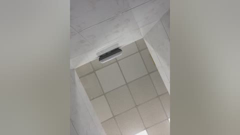 _a_l_i_c_e_ free recording from 2024-11-16 14:33:00