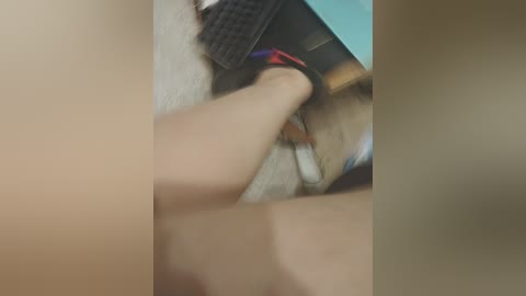 artal473535 free recording from 2024-11-16 01:32:00