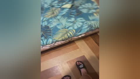 ernieflossy free recording from 2024-11-16 13:32:00