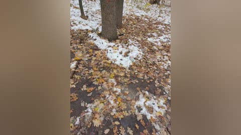 masya1996 free recording from 2024-11-16 11:26:00