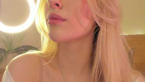 your_alice free recording from 2024-11-16 21:49:00