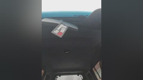 auka4 free recording from 2024-11-17 07:07:00