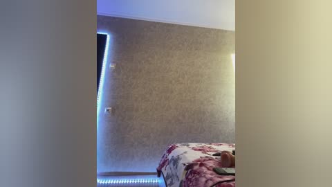 palmiira free recording from 2026-04-24 00:45:00