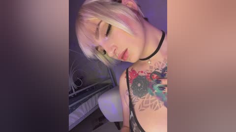 absinthegirl free recording from 2024-11-18 13:03:00