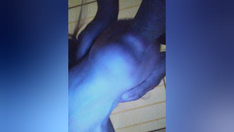 sexxxcdgg2024 free recording from 2024-11-18 02:44:00