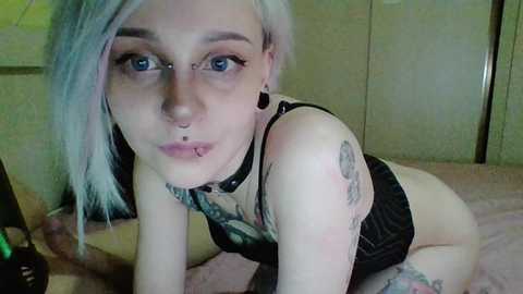 ashy_slashy free recording from 2024-11-19 20:38:00