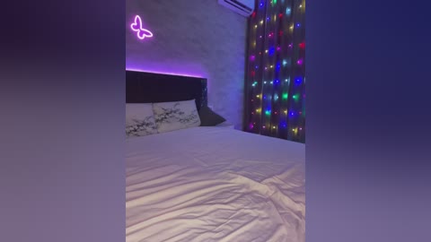 butttfly free recording from 2024-11-19 19:42:00