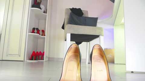 femdomheels free recording from 2024-11-19 14:40:00