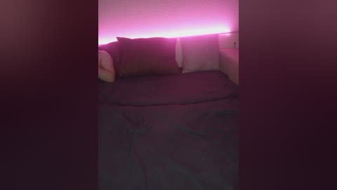 plohishi2 free recording from 2024-11-19 21:53:00