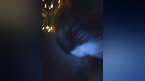 sexxxcdgg2024 free recording from 2026-04-26 07:09:00