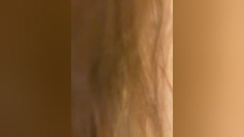 sochnayaaa free recording from 2024-11-19 19:02:00