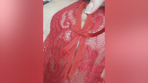 wettigress free recording from 2024-11-19 16:42:00