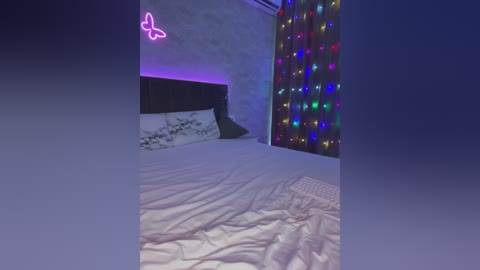 butttfly free recording from 2024-11-20 04:49:00